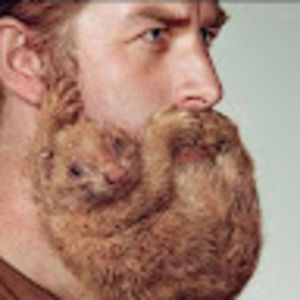 Meet your Posher, Clayton